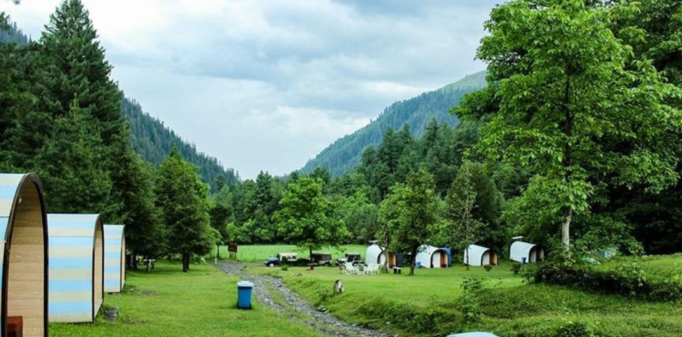 SHARAN FOREST